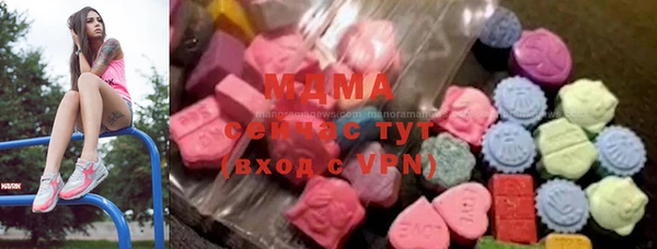 индика Богородицк